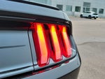 2023 Mustang Thumbnail 7