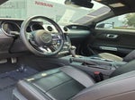 2023 Mustang Thumbnail 14