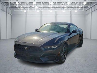 2024 Ford Mustang Ecoboost Premium 2DR Fastback
