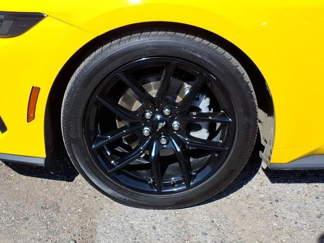 2024 Ford Mustang - $31,998