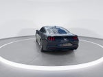 2024 Mustang Thumbnail 6