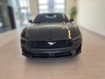 2024 Mustang Thumbnail 5