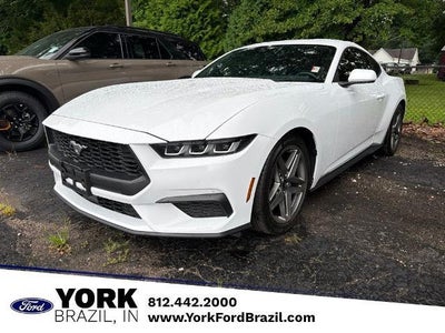 Photo of a 2024 Ford Mustang Ecoboost Premium 2DR Fastback for sale