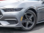 2025 Mustang Thumbnail 4