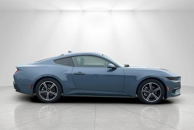 2025 Ford Mustang EcoBoost — photo 1 of 24
