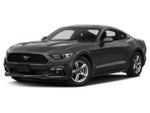 2015 Mustang Thumbnail 1