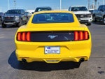 2015 Mustang Thumbnail 5