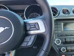 2015 Mustang Thumbnail 23
