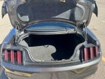 2016 Mustang Thumbnail 14