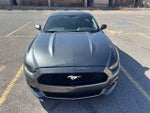 2016 Mustang Thumbnail 3