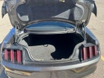 2016 Mustang Thumbnail 14