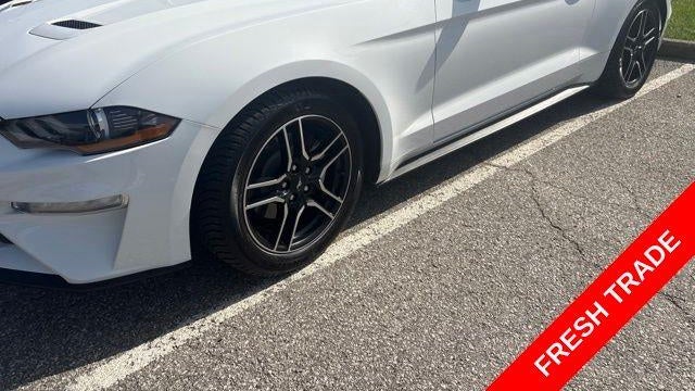 Preowned 2018 Ford Mustang EcoBoost for Sale