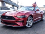 2019 Mustang Thumbnail 1