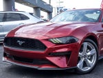 2019 Mustang Thumbnail 2