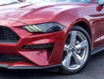 2019 Mustang Thumbnail 3