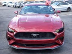 2019 Mustang Thumbnail 4