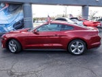 2019 Mustang Thumbnail 5