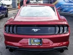 2019 Mustang Thumbnail 6