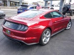 2019 Mustang Thumbnail 8