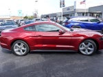 2019 Mustang Thumbnail 9
