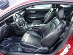 2019 Mustang Thumbnail 10