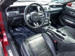 2019 Mustang Thumbnail 11
