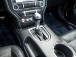 2019 Mustang Thumbnail 19
