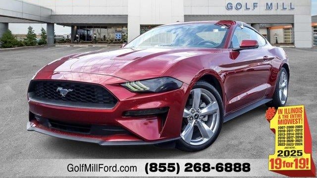 Preowned 2019 Ford Mustang EcoBoost for Sale