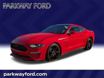 2019 Ford Mustang Ecoboost 2DR Fastback