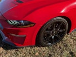 2019 Mustang Thumbnail 9