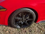 2019 Mustang Thumbnail 10