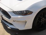 2019 Mustang Thumbnail 3
