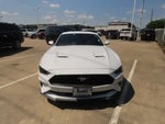 2019 Mustang Thumbnail 4