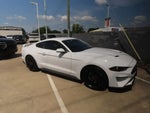 2019 Mustang Thumbnail 6