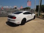 2019 Mustang Thumbnail 9