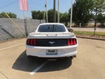 2019 Mustang Thumbnail 11