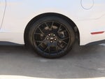 2019 Mustang Thumbnail 14