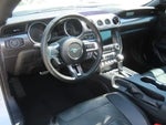 2019 Mustang Thumbnail 20