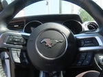2019 Mustang Thumbnail 22