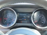 2019 Mustang Thumbnail 23