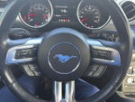 2021 Mustang Thumbnail 11
