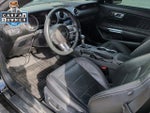2021 Mustang Thumbnail 18