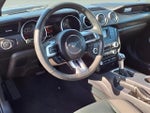 2021 Mustang Thumbnail 12