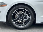 2022 Mustang Thumbnail 24