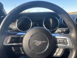 2022 Mustang Thumbnail 16