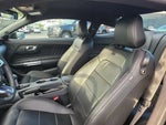 2022 Mustang Thumbnail 7