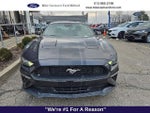 2022 Mustang Thumbnail 2