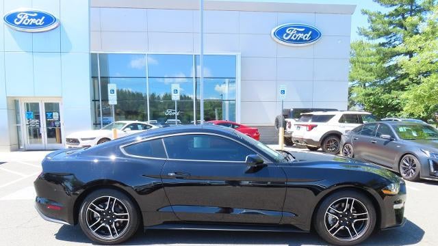 2023 Ford Mustang EcoBoost