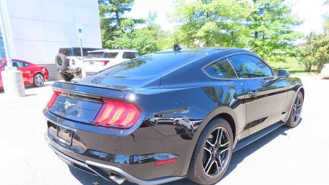 2023 Ford Mustang EcoBoost