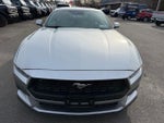 2024 Mustang Thumbnail 5